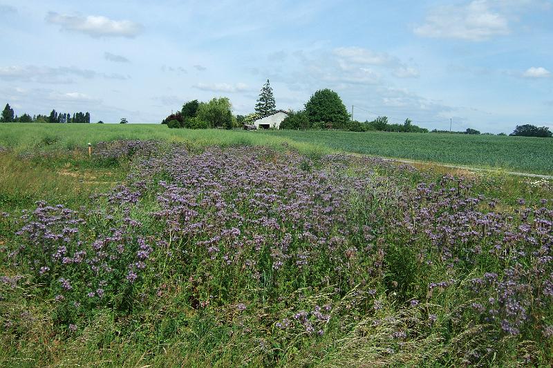 2011-05- (778).JPG
